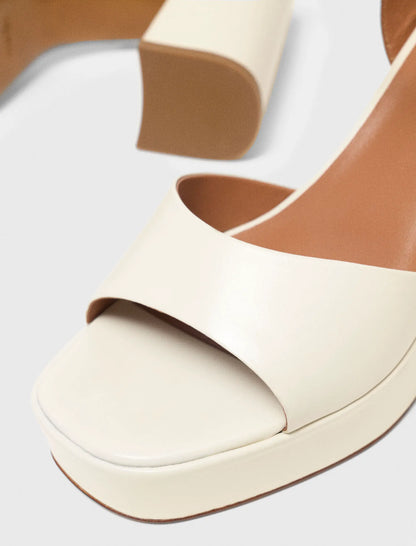 US 5.5 / FR 36